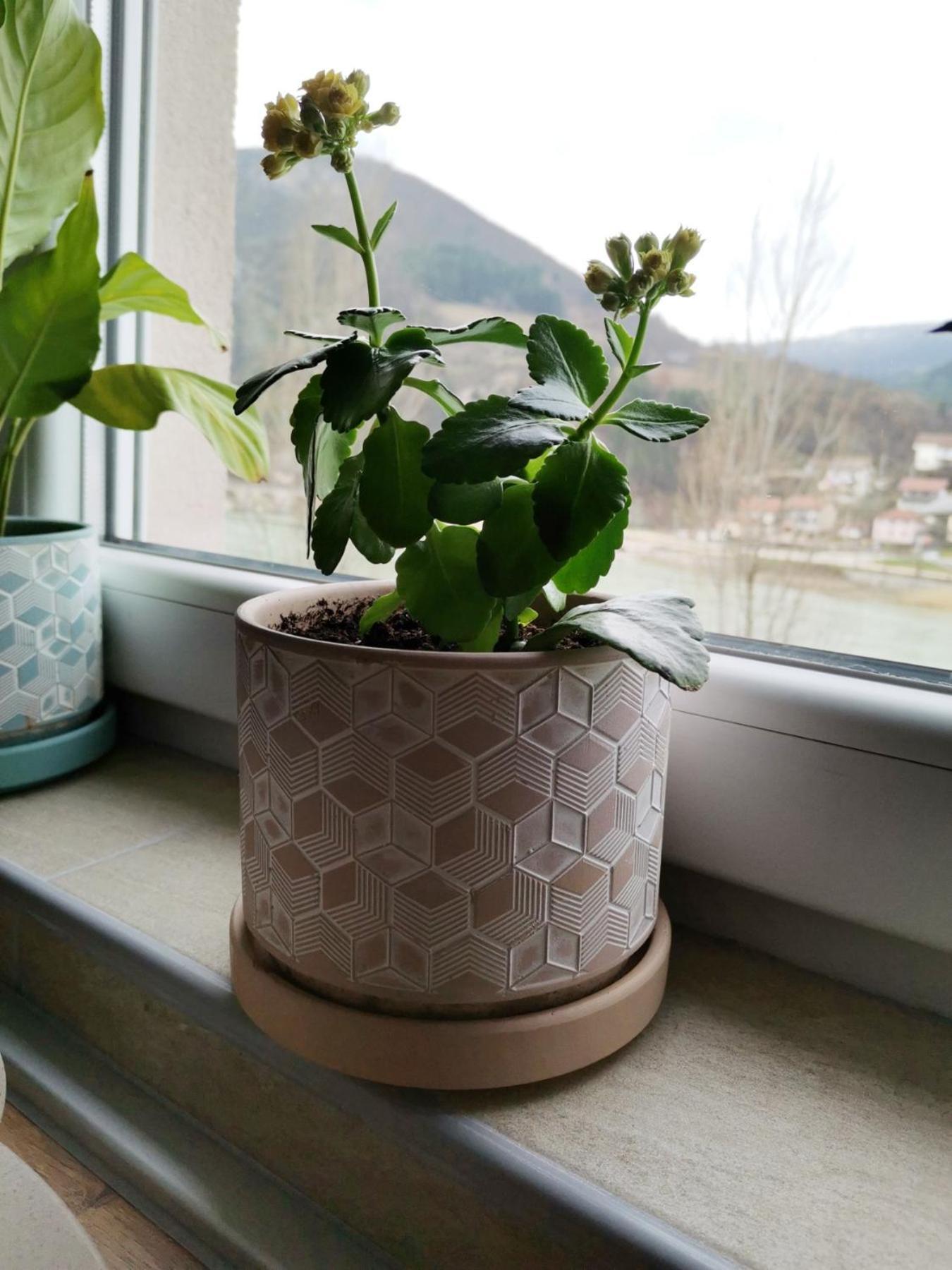 Apartment Mademoiselle Višegrad Стая снимка
